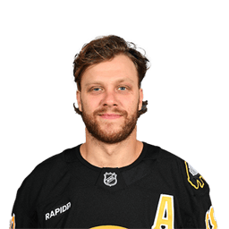 D. Pastrnak