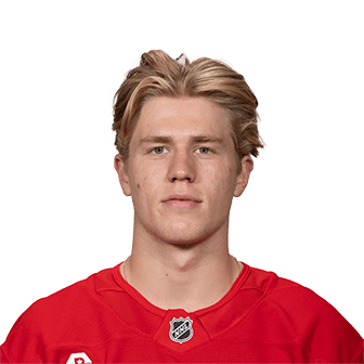 M. Brandsegg-Nygård