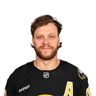 David Pastrnak headshot