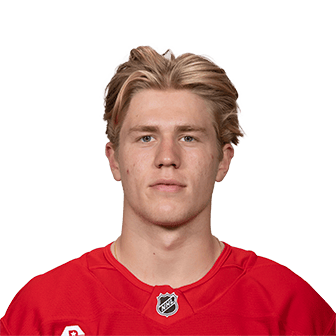 Michael Brandsegg-Nygård