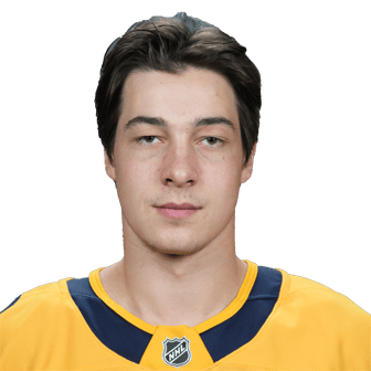 Aiden Fink