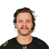 D. Pastrnak